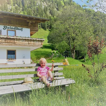 Steindlhof in Walchsee-2
